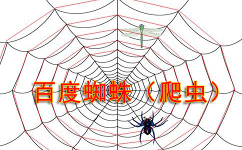 網(wǎng)站優(yōu)化：開啟網(wǎng)絡(luò)成功之門的密鑰